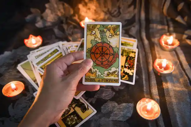 tarot cards Livonia